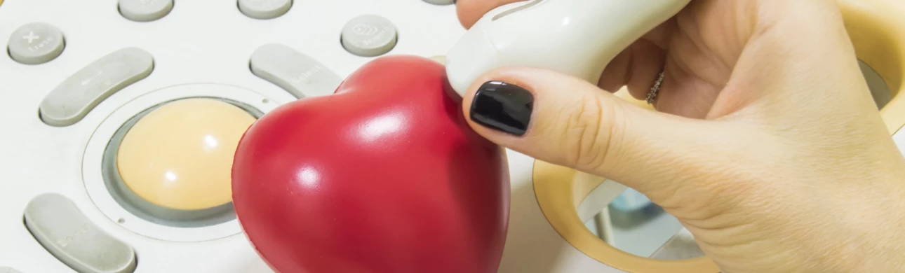Diagnostika hypertrofické kardiomyopatie? Klíčový je ultrazvuk srdce a magnetická rezonance