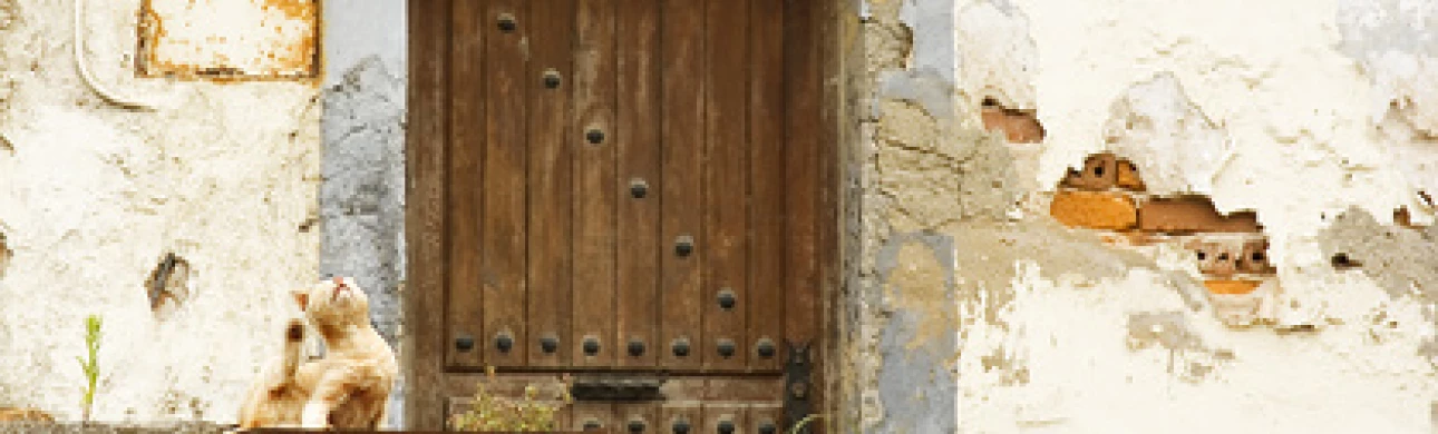 Vlhkost a plíseň v bytě podporují vznik alergií