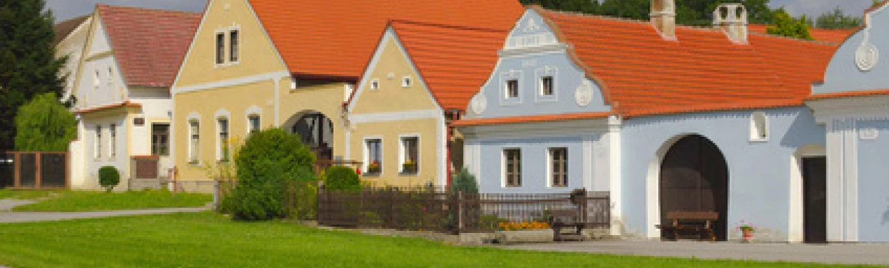 Nárůst alergiků – vedou města, nebo vesnice? 
