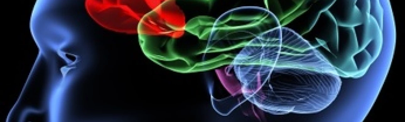 Alzheimerova choroba a glaukom: různé nemoci, stejné rizikové faktory 