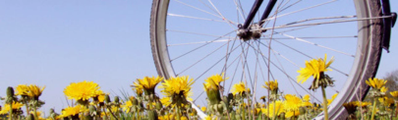 Alergeny číhají i na cyklisty