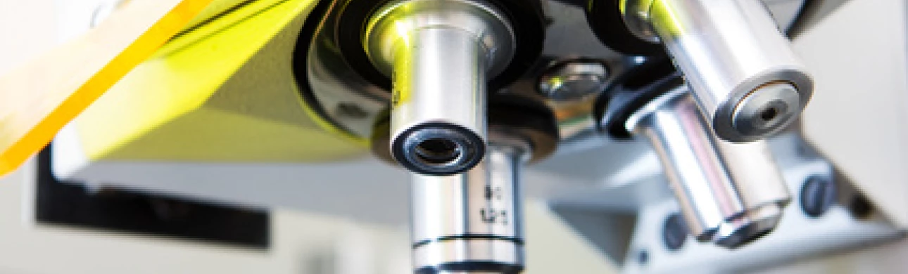 Dendritické buňky "předpovídají" účinnost specifické imunoterapie