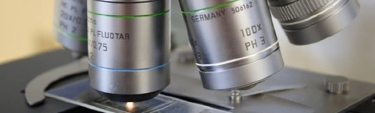 Infekce bakterií Chlamydia pneumoniae snižuje riziko alergického onemocnění