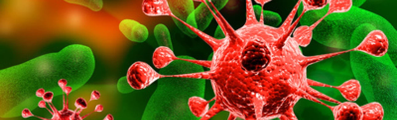 Dětské astma možná více souvisí s virovými infekcemi než s alergií