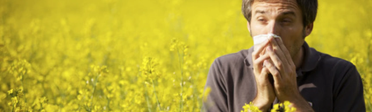 I alergie může potrápit vaše oči
