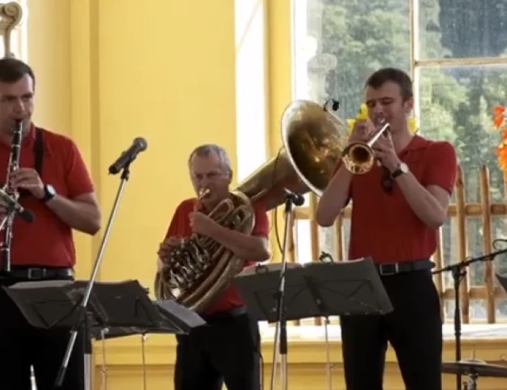 Video: Nedovedu si představit život bez  hudby, říká hemofilik Bedřich Smrčka
