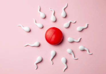 Do jaké míry může diabetes 1. typu zhoršovat mužskou fertilitu a funkci testes?