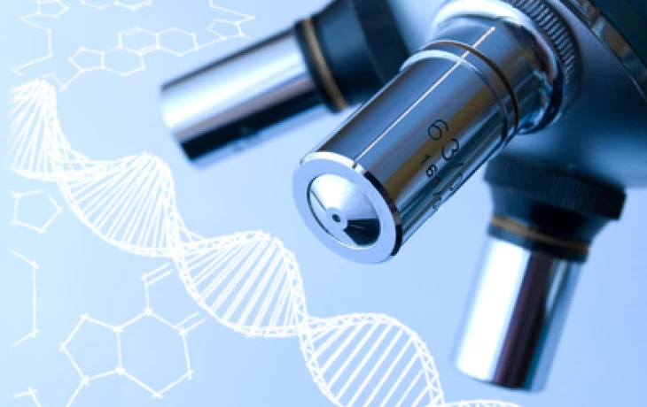 Genetické vyšetření embrya – může prozradit mnoho