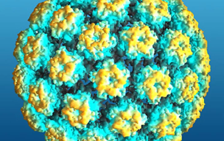 Virus snižuje šanci počít "ze zkumavky"